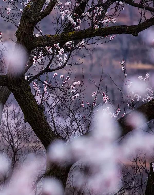 南疆喀什值得去吗,新疆之旅第三站喀什