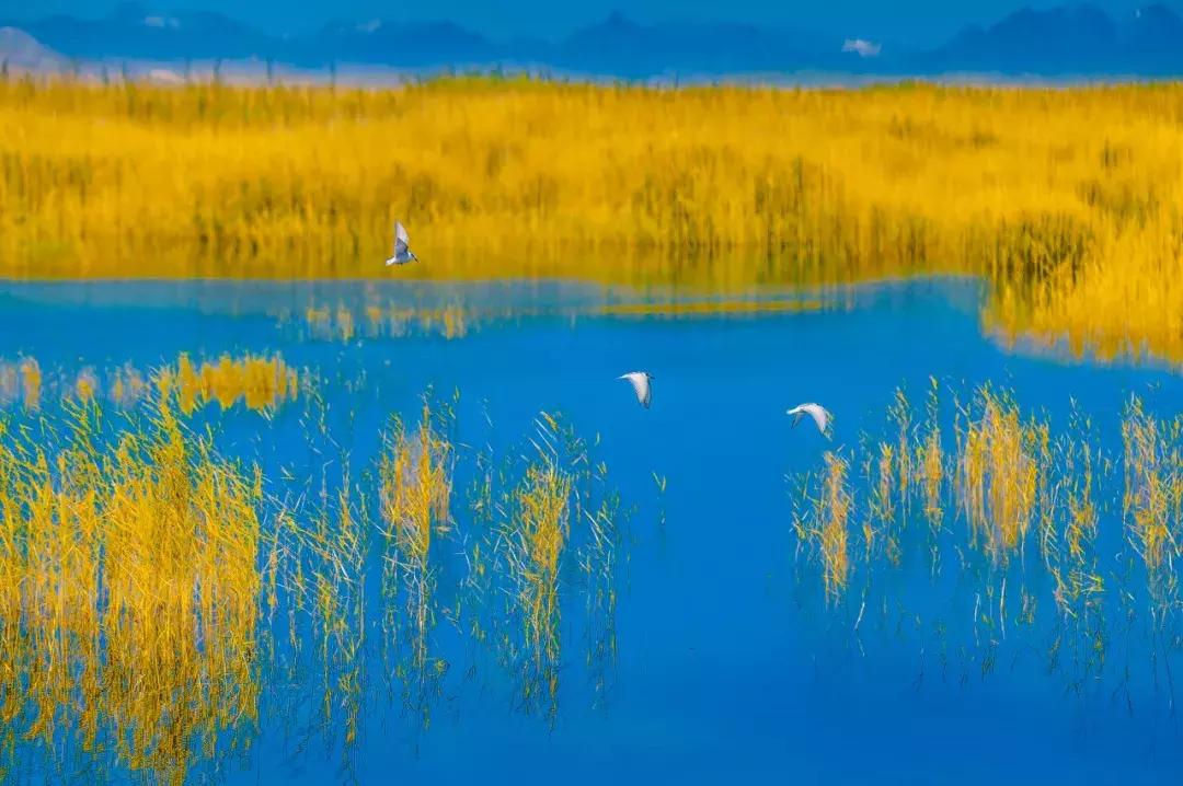 新疆的北疆和南疆哪个更美,北疆新疆之美