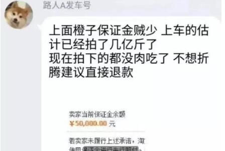 “薅羊毛”薅垮多家店铺,占小便宜跟吃人血馒头有什么区别?