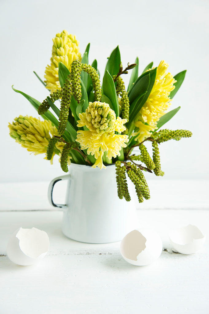 家里养什么花最好养耐活招财,家庭养什么花最招财又好看