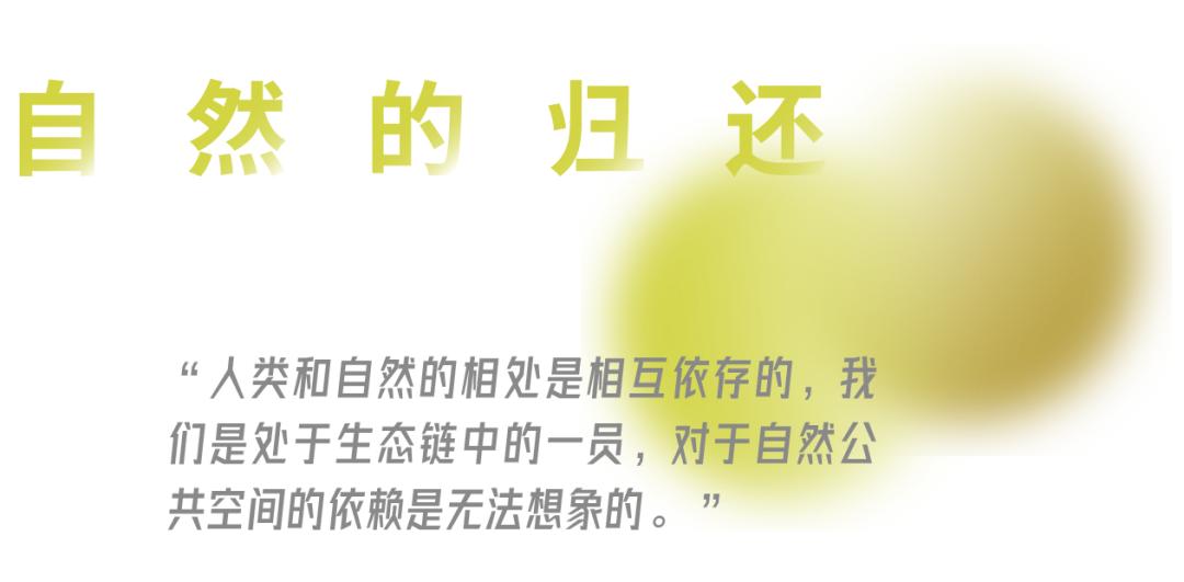 武汉华侨城湿地公园绿化,华侨城生态湿地公园武汉什么区