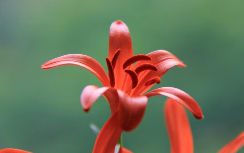 是什么突然让你变成熟了,总有那么一件事会让你彻底变成熟