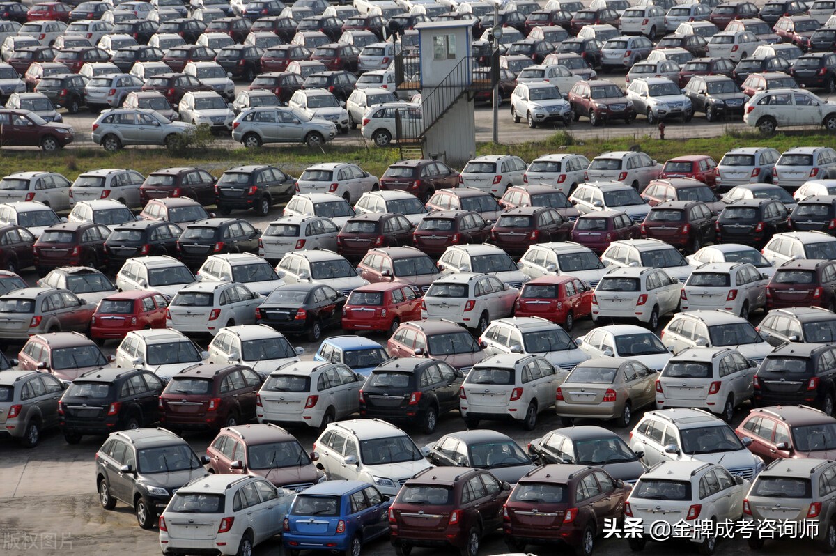 哪些高职学校就业好,中国十大最具就业能力高职院校