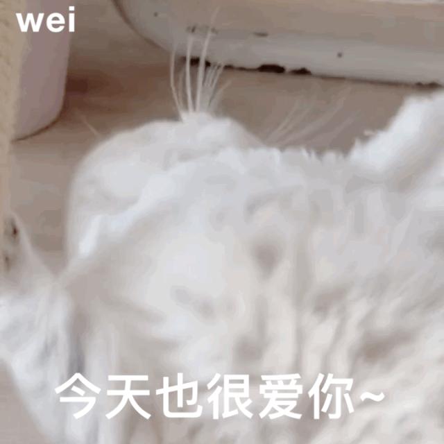 算了还是要上班系列表情包,一想到明天上班就想打个人表情包