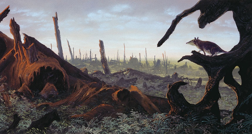 史前恐龙是怎么诞生的,史前恐龙的进化史