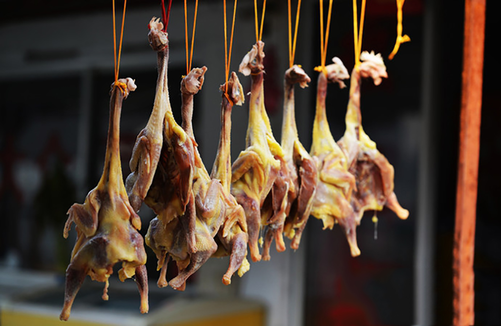 千灯古镇里的卧佛,苏州值得去的古镇