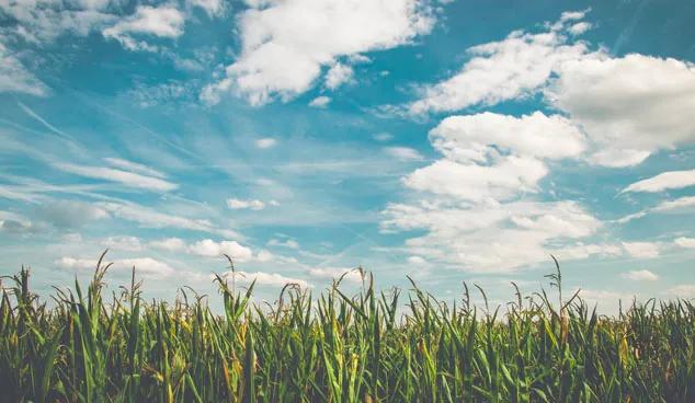 钓鱼的启示读后感600字,钓鱼的启示感悟