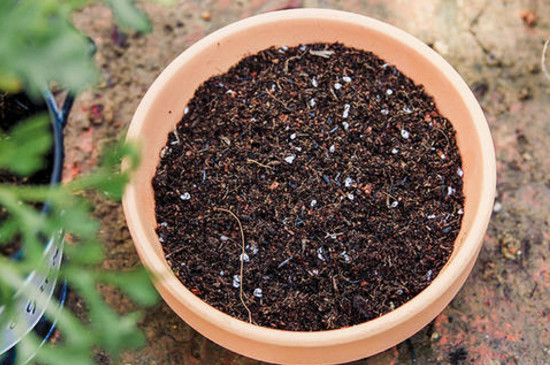 怎样把黄土变黑土,如何把黄土变疏松