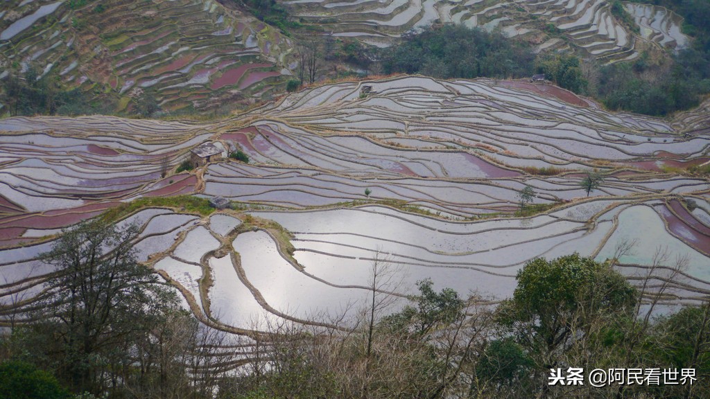 云南普者黑元阳坝美6天旅游攻略,云南建水普者黑旅游路线