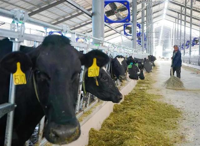 乳业高质量发展,乳业标准