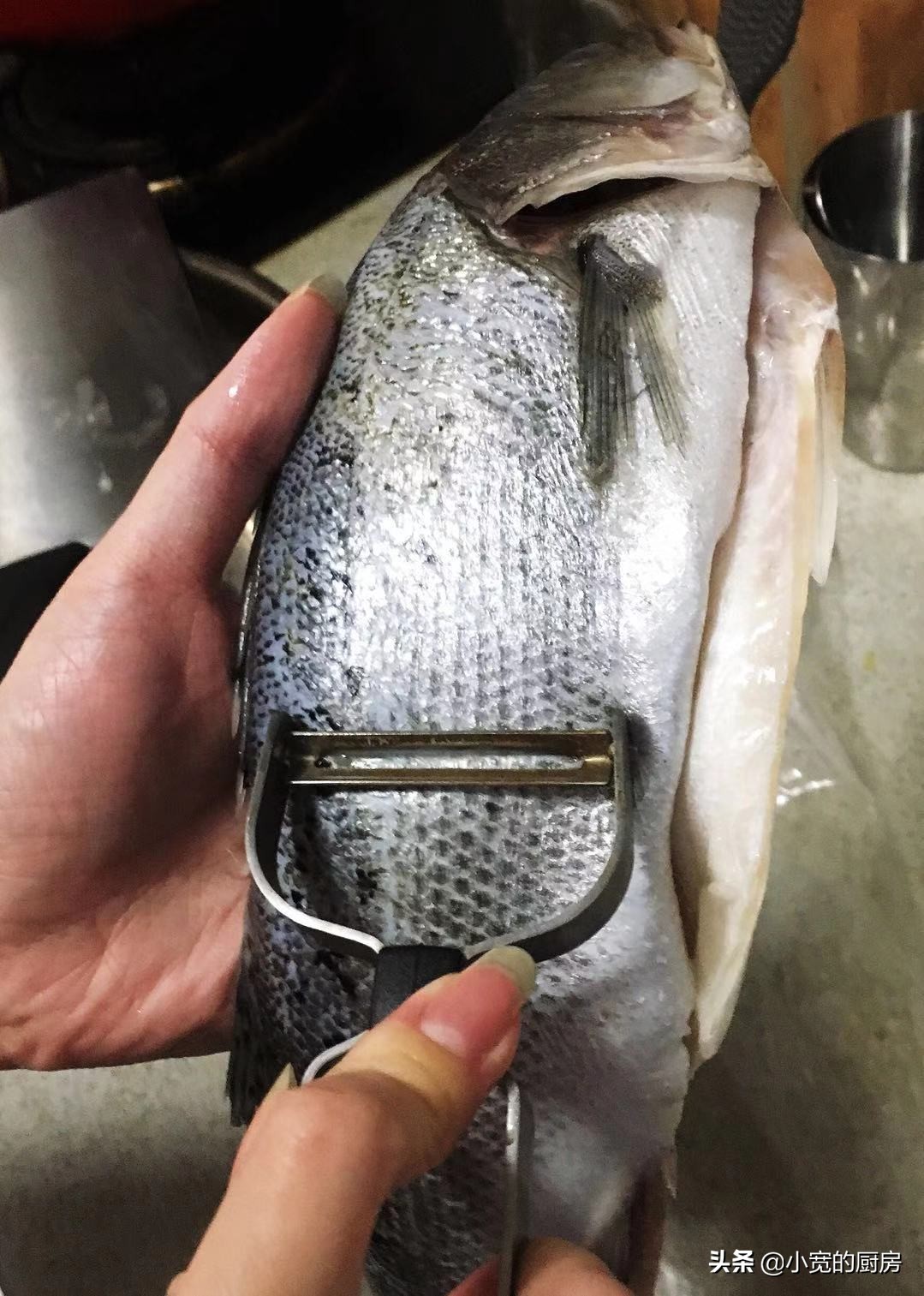 粤菜清蒸剁椒鲈鱼片,鲈鱼清蒸放蒸鱼豉油还需要放盐吗