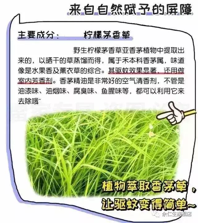 夏天蚊虫多驱蚊小方法,夏天蚊虫不易进来