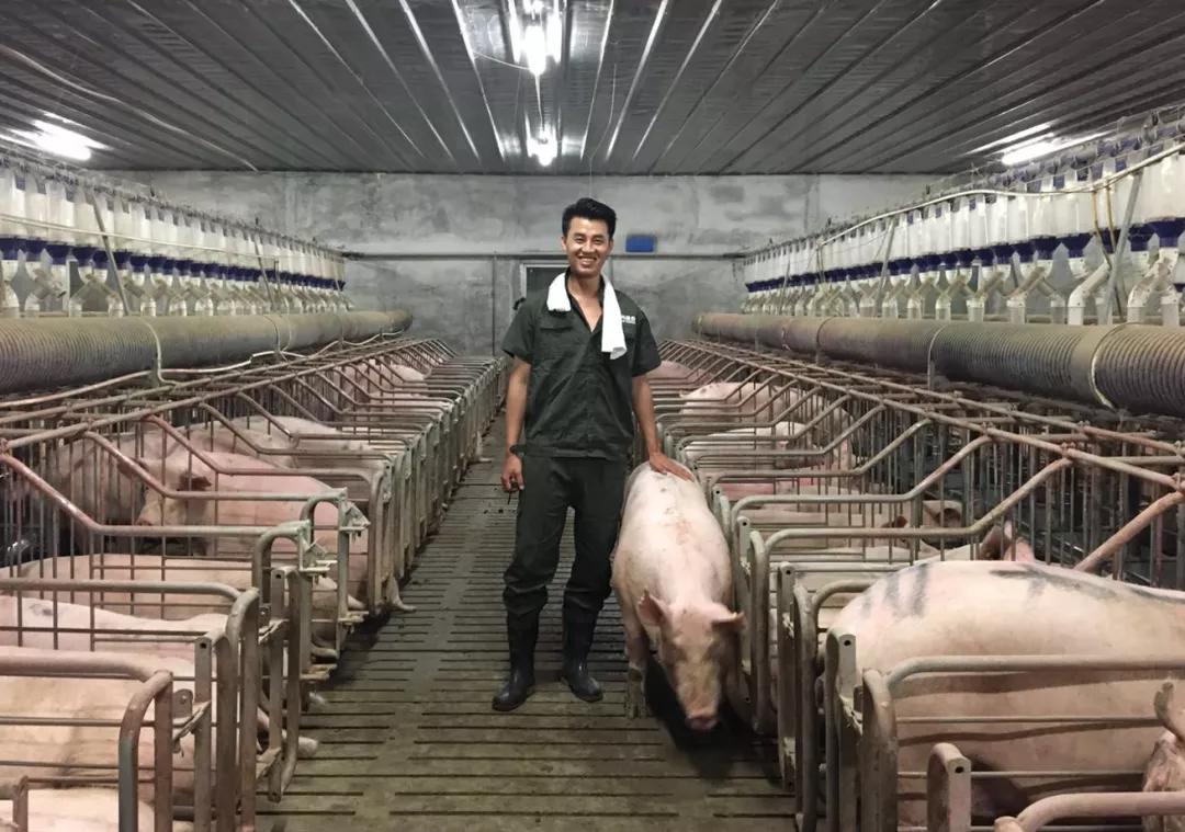 返乡创业青年演讲,返乡创业五四青年节演讲