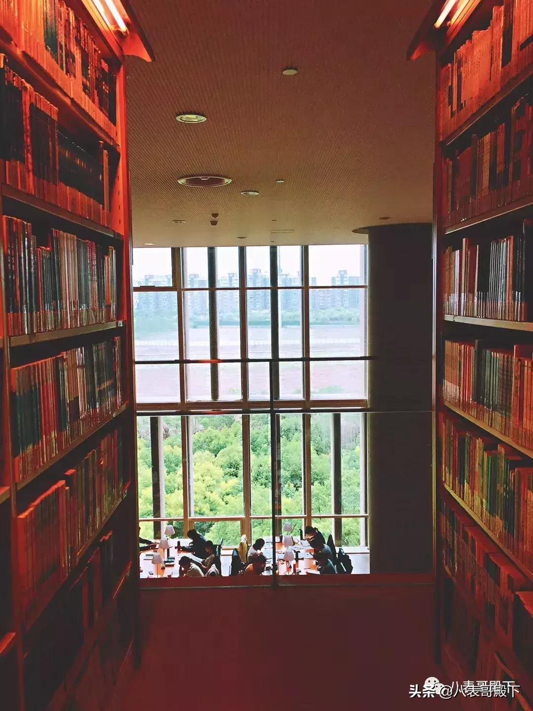 天堂就像图书馆,天堂就是图书馆的模样图片