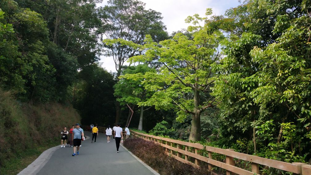 深圳羊台山风景区,深圳羊台山