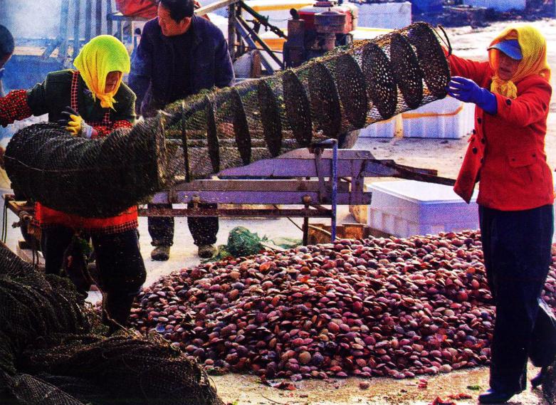 辽宁海边海鲜哪里好吃,辽宁海鲜哪最好