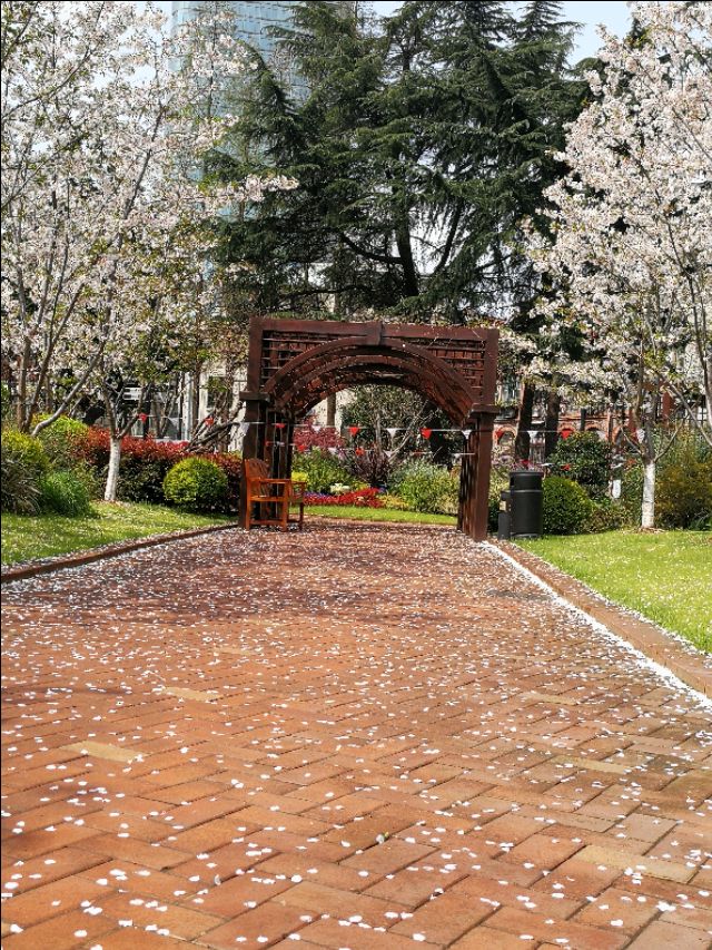 烟火气掩映下的昆山花园路