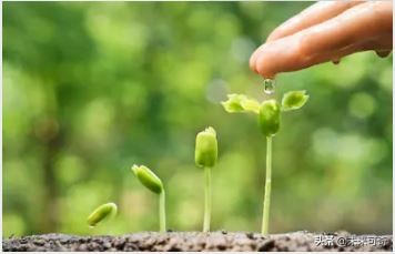 心情烦躁最好的办法,当你心烦意乱时如何处理情绪