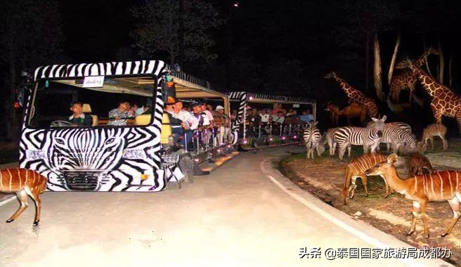 暑假去泰国旅游攻略,暑假去泰国玩好吗