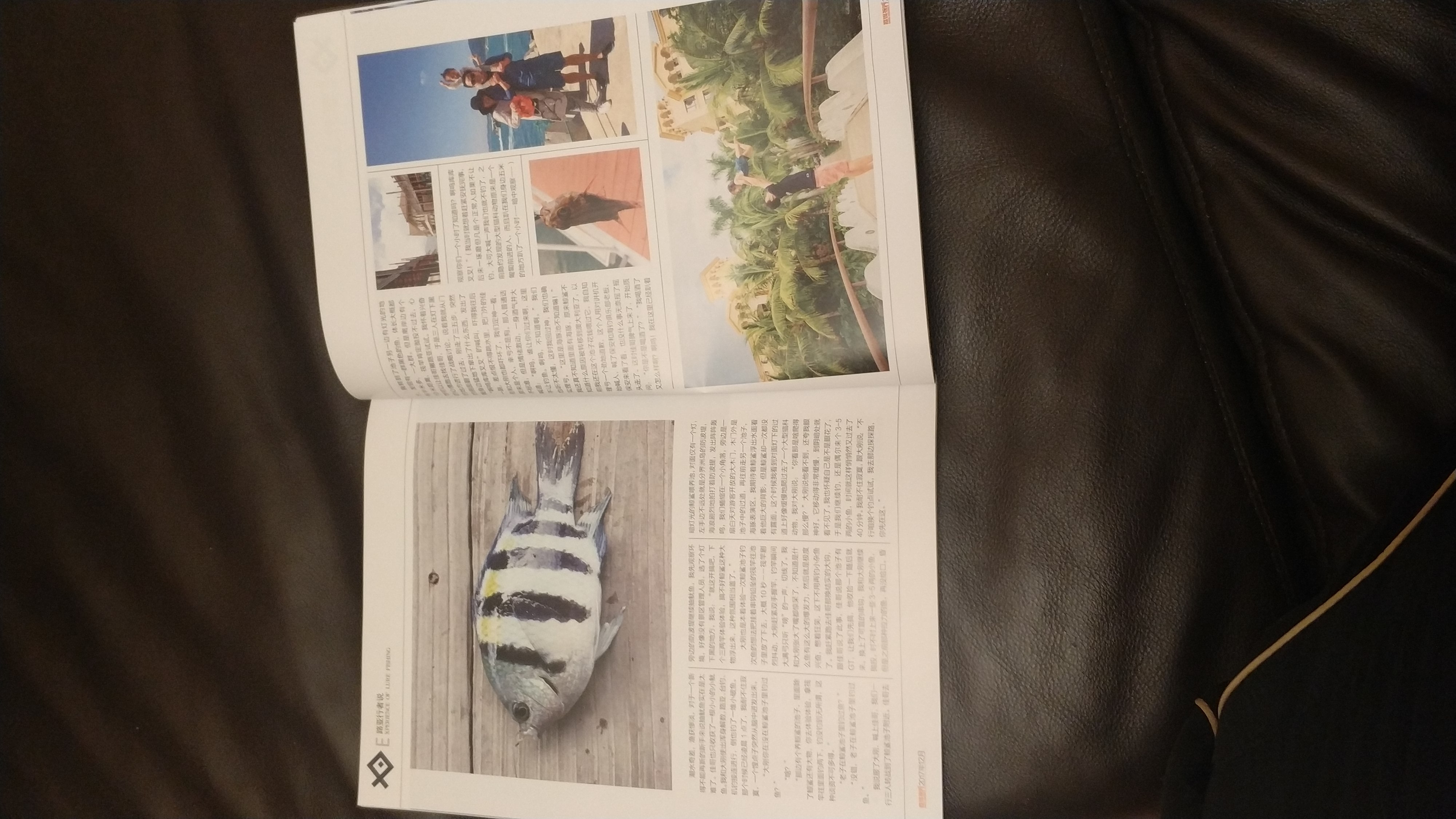 路亚入坑视频,路亚新手入坑