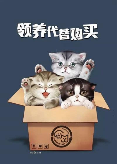 为什么总是提倡“领养代替购买”？