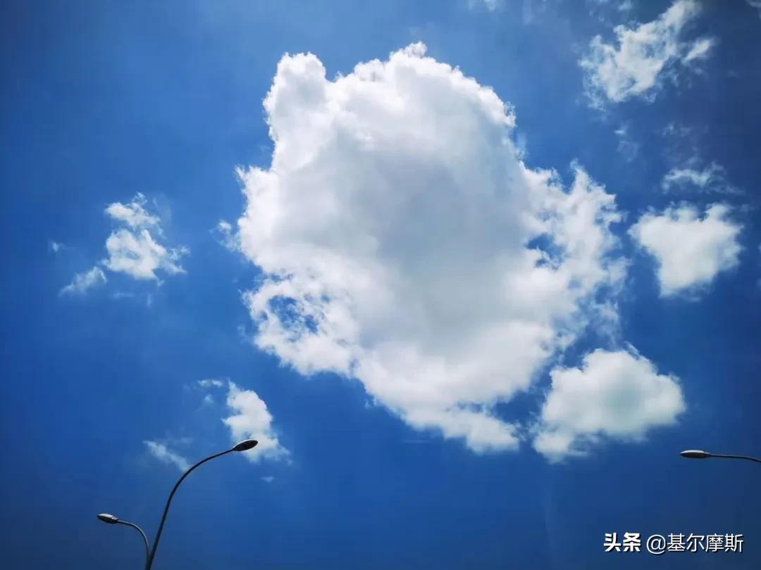 中融基金的现状,中融基金规划方案