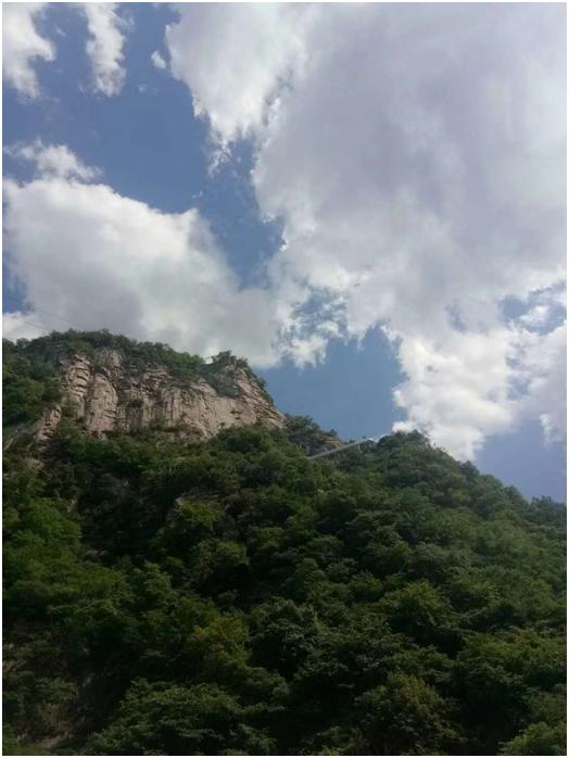 《翟副县长的文旅江湖》——东方朔：包袱是抖的，不是背的