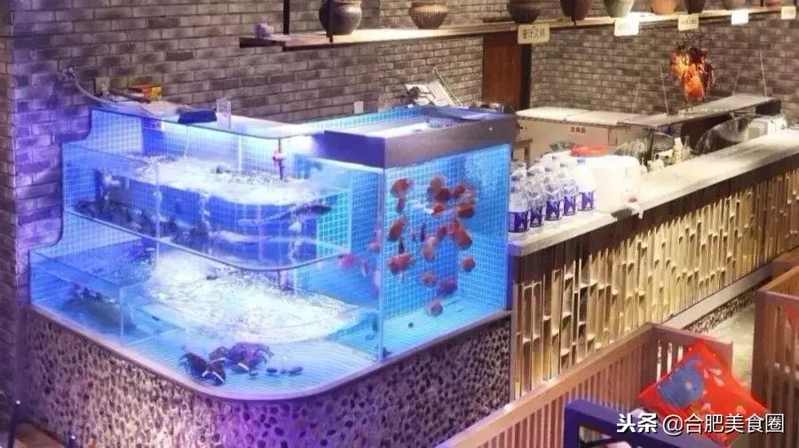 双11美食攻略,双11美食榜单来啦