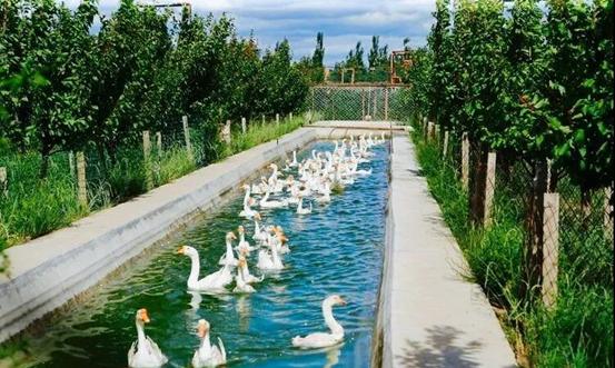 五一长假去哪里旅游推荐,五一小长假旅游指南