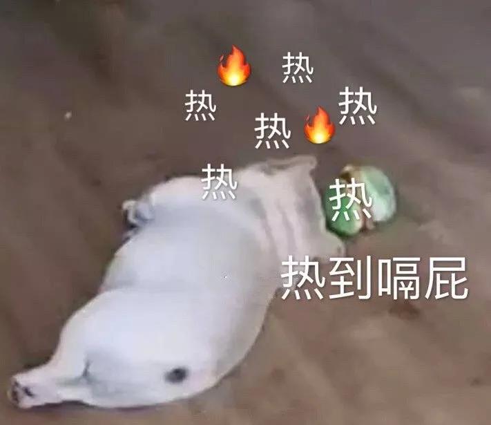 三伏天喝羊奶好吗,伏天喝羊奶有哪些好处