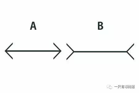 欧阳娜娜逃过网课吗,欧阳娜娜2019发生的事