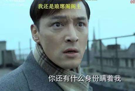 永琪：我是一个五字；尔康：我就一个鼻孔，这些弹幕是有毒吗？