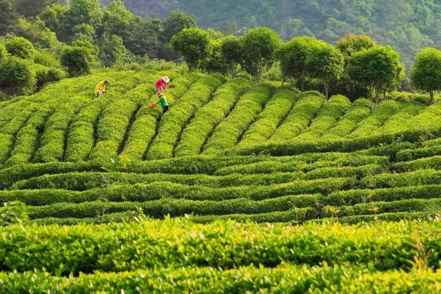 收藏,临安诗词大会来啦