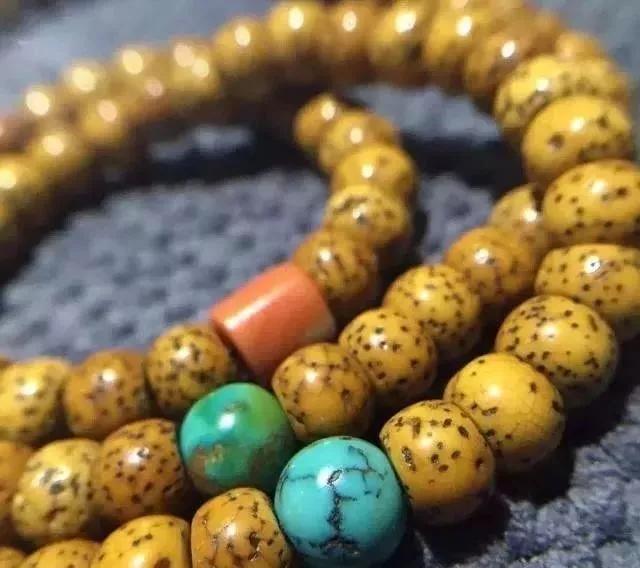 星月菩提奶油黄好还是顺白好,星月菩提奶油黄