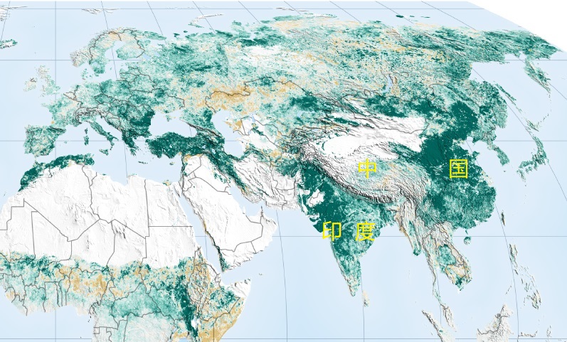 阿里蚂蚁森林怎么赚钱的,蚂蚁森林真的是阿里巴巴掏钱吗