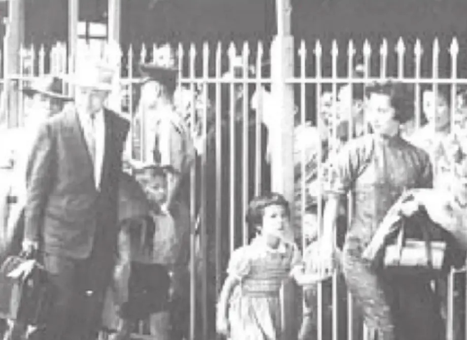 分析钱学森与蒋英爱情故事,钱学森与蒋英的爱情故事发言