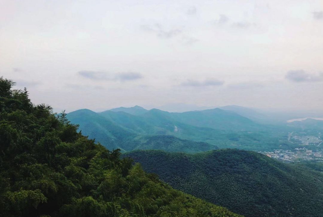 如果有来生，我要做宜兴竹海的一棵竹