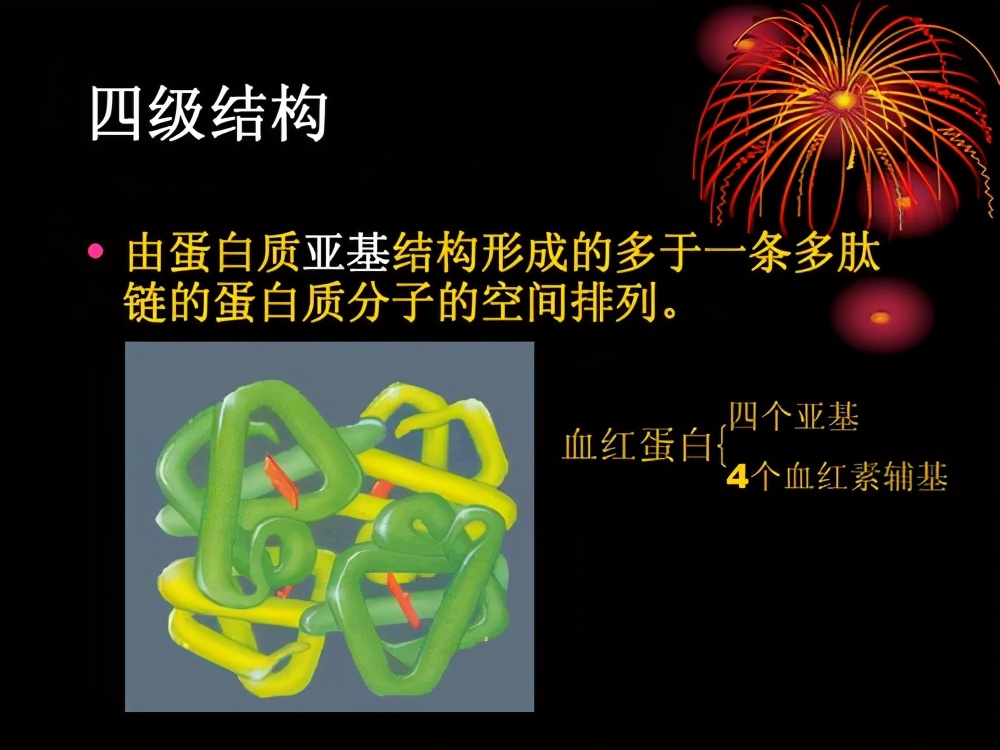 海底虾450度高温叫什么名字,100度水煮不死的虾