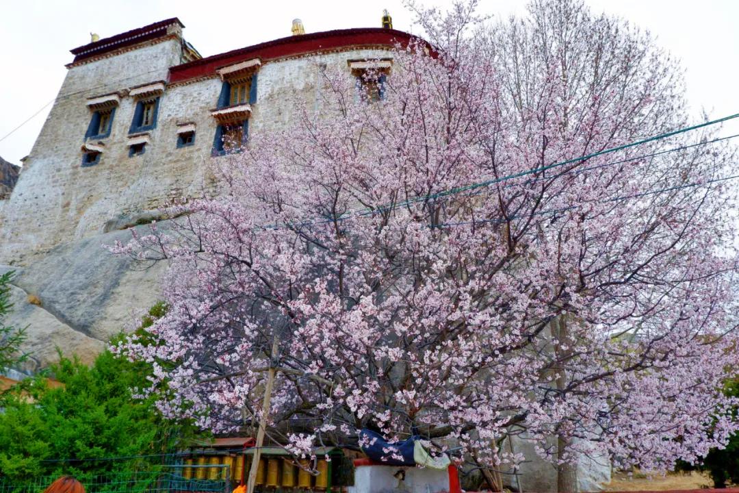 拍拉萨全景哪里最好,拉萨最适合拍照的地方