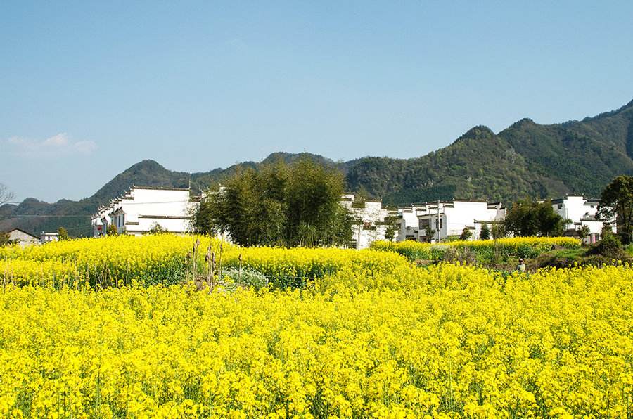 带你走进中国最美的村落,带你打卡中国最美古村