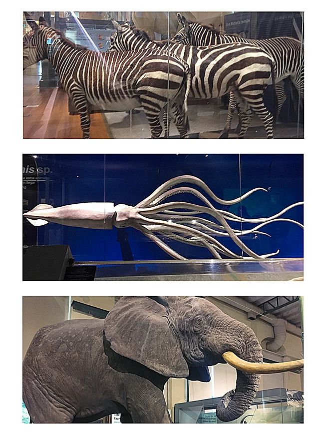 马德里小众玩法：5欧游古迹，复古集市，打折村，皇马主场…