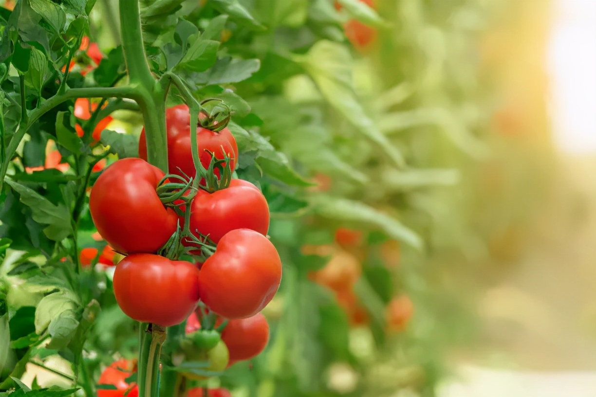 这十条谣言骗了你多年，帮你解开背后的真相