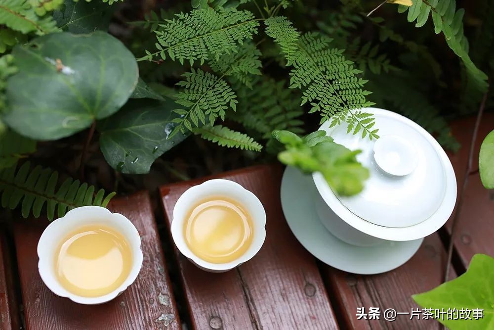 一杯茶敬帮过你的贵人,年底了一杯茶敬帮助过我的贵人