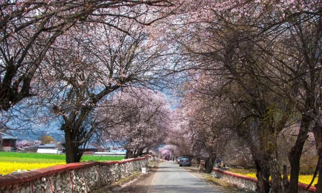 波密到鲁朗细雨蒙蒙,波密到林芝冰川