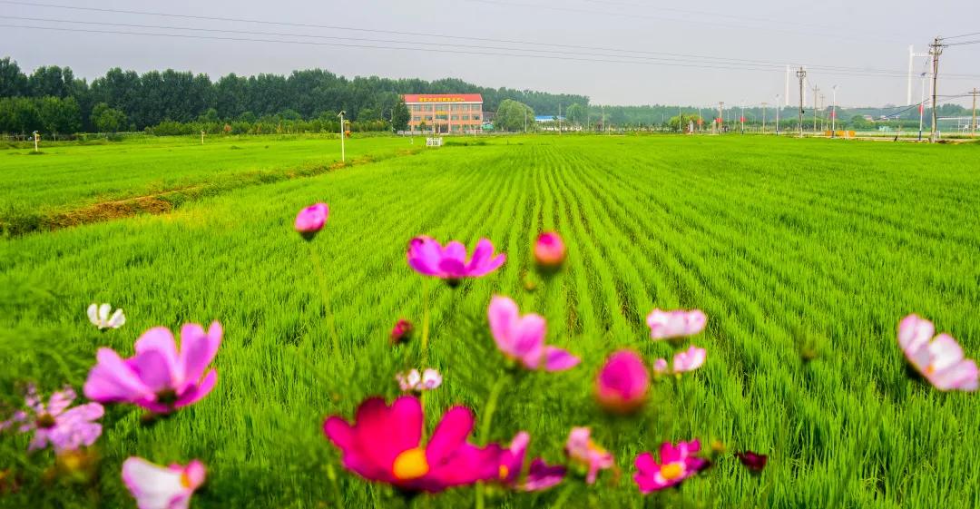 济南市灵山风景区,济南古香古色的景区