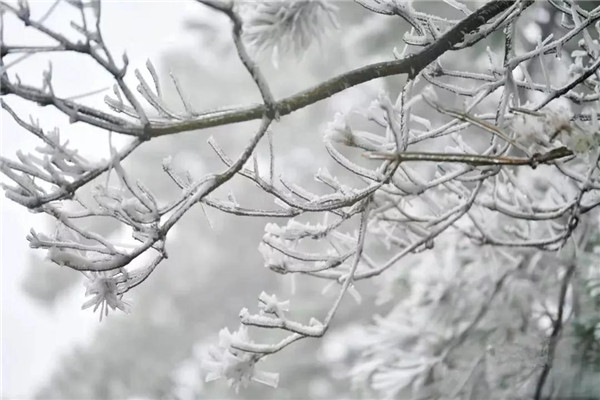 文成避暑旅游攻略路线图,冬天文成景点一日游攻略