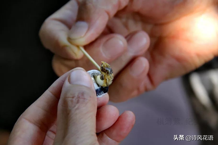 家乡印象海鲜,家乡味道舌尖上的美食