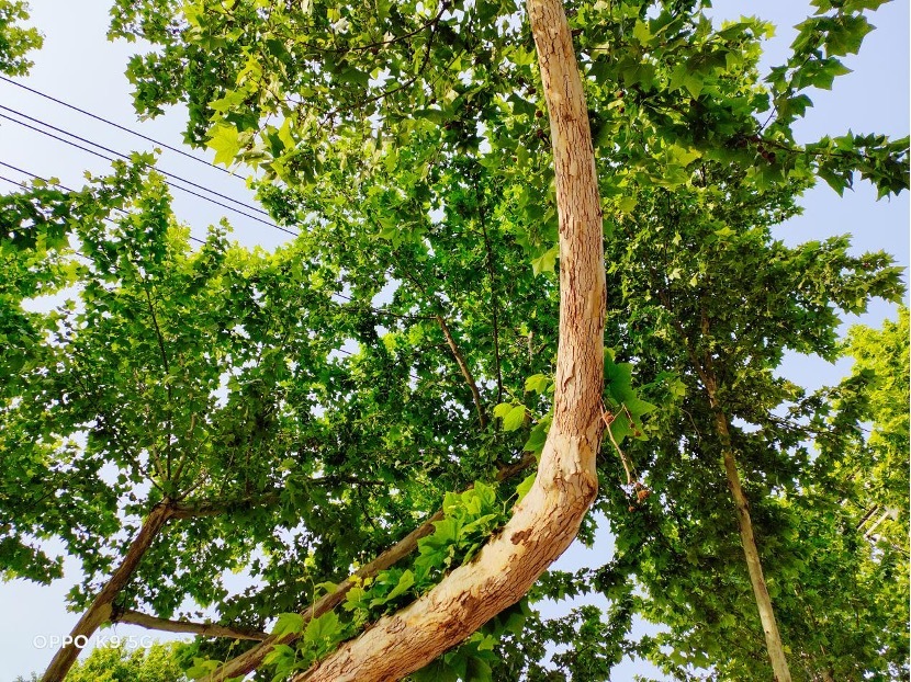 轻体验“对K套装”,大欧玩超值体验究竟如何?