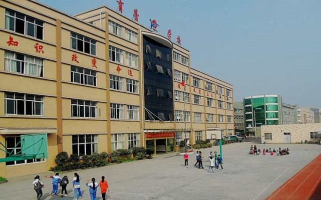 杭州市余杭区育蕾学校官网,杭州星桥育蕾小学