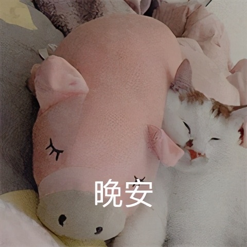 算了还是要上班系列表情包,一想到明天上班就想打个人表情包